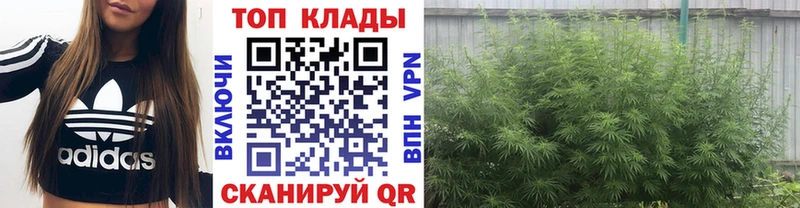 Купить наркотики Бийск Гашиш  Кокаин  Меф мяу мяу  МДМА  Марихуана 