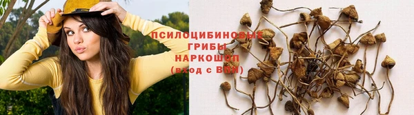 наркотики Алексеевка