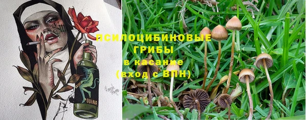 наркотики Алексеевка