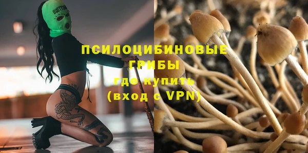 прущая мука Алзамай