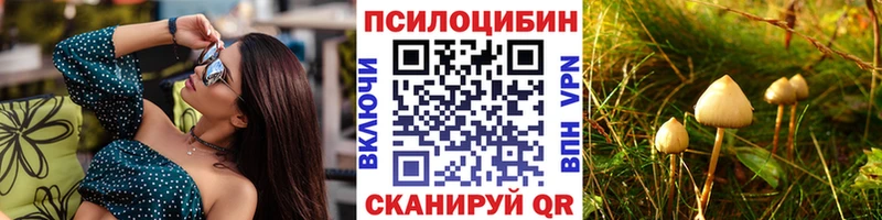 дарнет шоп  Бийск  Псилоцибиновые грибы мицелий 